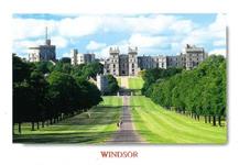 Windsor Long Walk Image